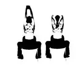 男士入门健身动作初学者教学,超简单男士健身方法分享