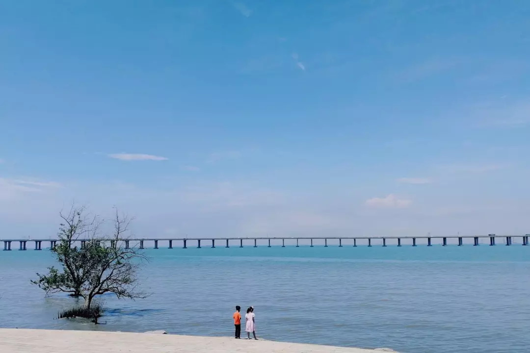 深圳海洋世界旅游攻略,深圳海洋王国有哪些景点