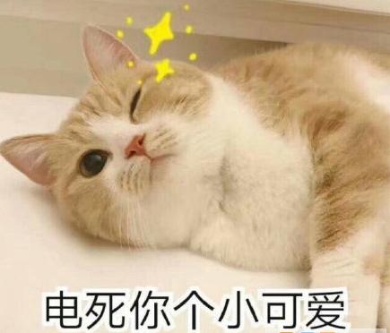 一般的芦荟胶有什么用,芦荟胶的五大功能你真的会用吗