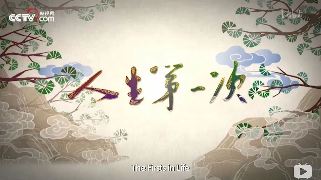 幼儿园老师怎么说孩子很棒,有人说幼儿园老师很轻松怎么回答