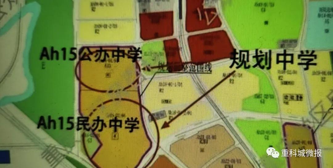 南开中学、南渝中学、树人小学、沙坪坝小学……这些名校扎堆了