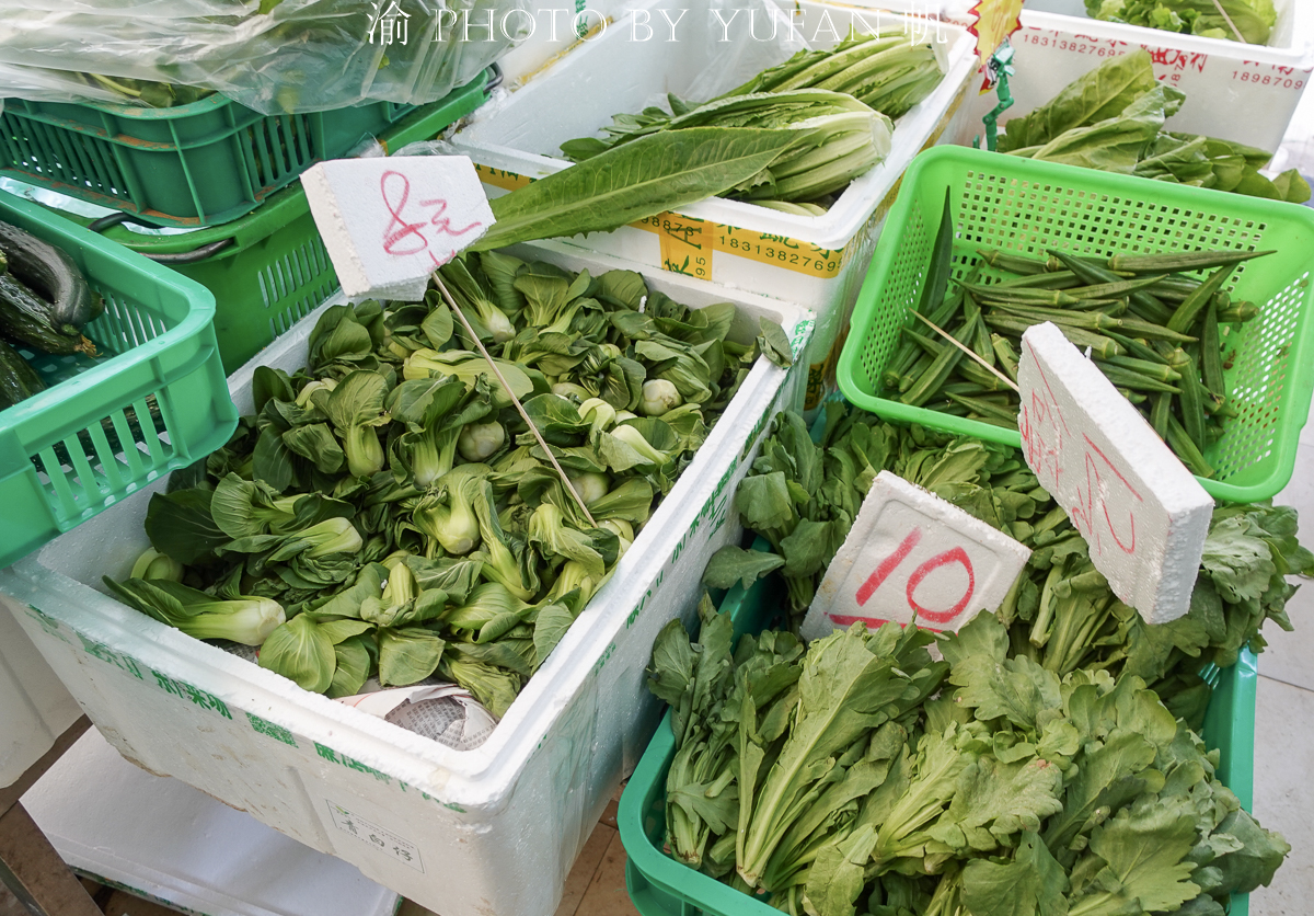 闲逛老店林立的澳门十月初五老街,菜市场的菜价有些出乎意料