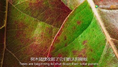 被吹爆的神片,被吹上天的神作