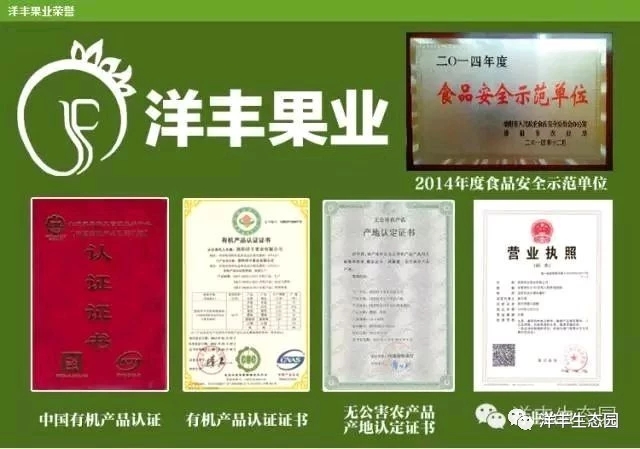 洛阳采摘蔬菜园都有哪些,有机蔬菜采摘园洛阳