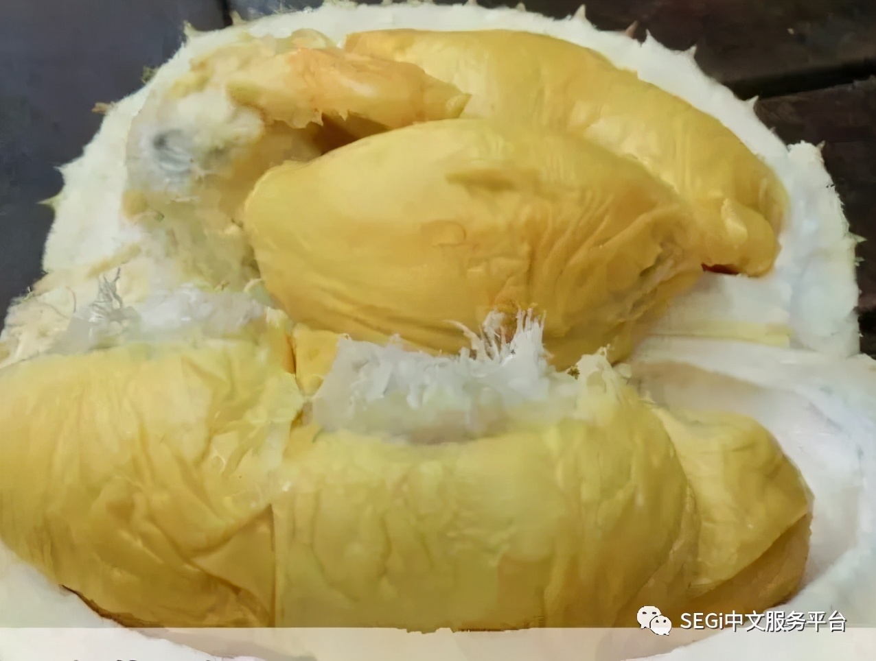 马来西亚的榴莲有啥品种,马来西亚榴莲有几种