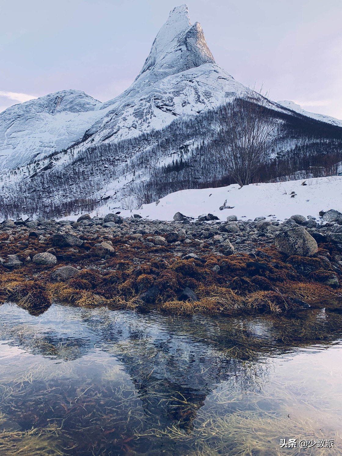 新手如何学会用苹果手机拍好照片,如何拍100张照片苹果