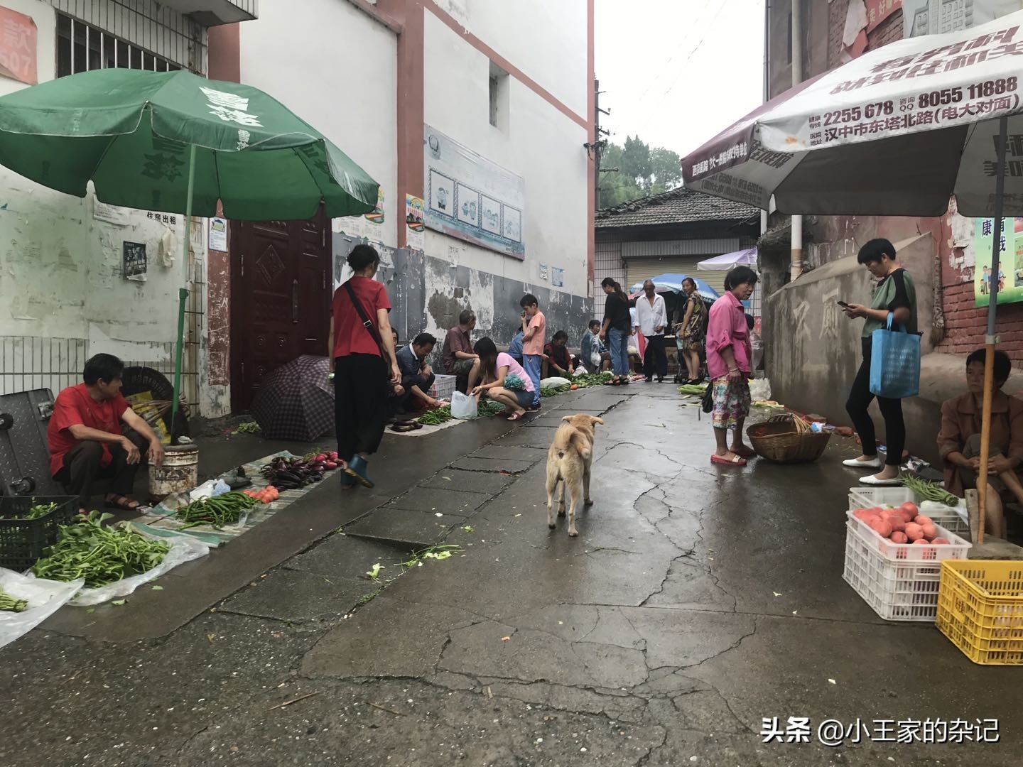 大山里,有一趟可以赶集的绿皮车|8361次汉中—阳平关