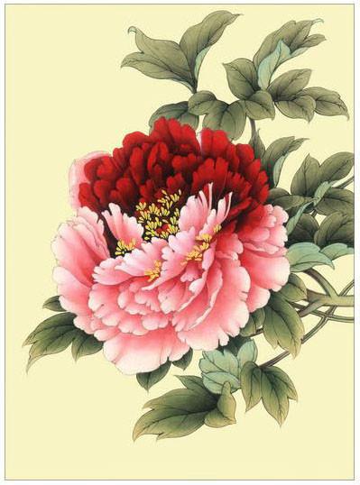 工笔牡丹勾线画法,工笔牡丹十二品设色步骤