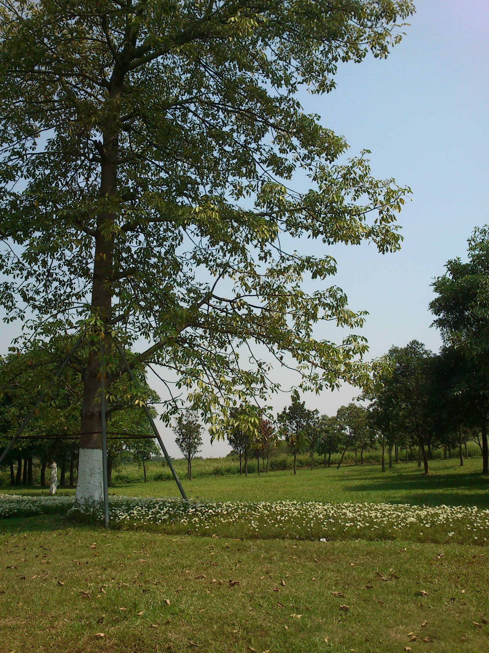 这些年旅游的痕迹,这些年的风霜旅途