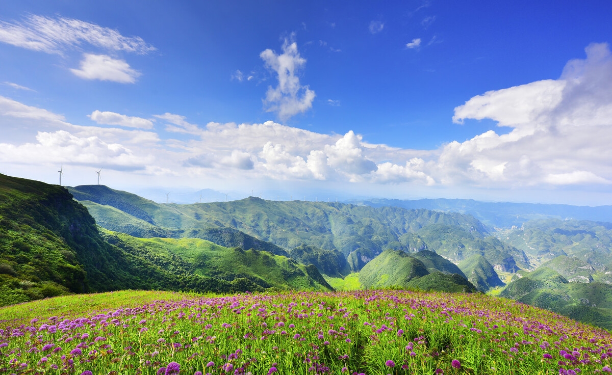 这才是夏天凉爽的地方,七里坪负氧离子全国第一避暑天堂