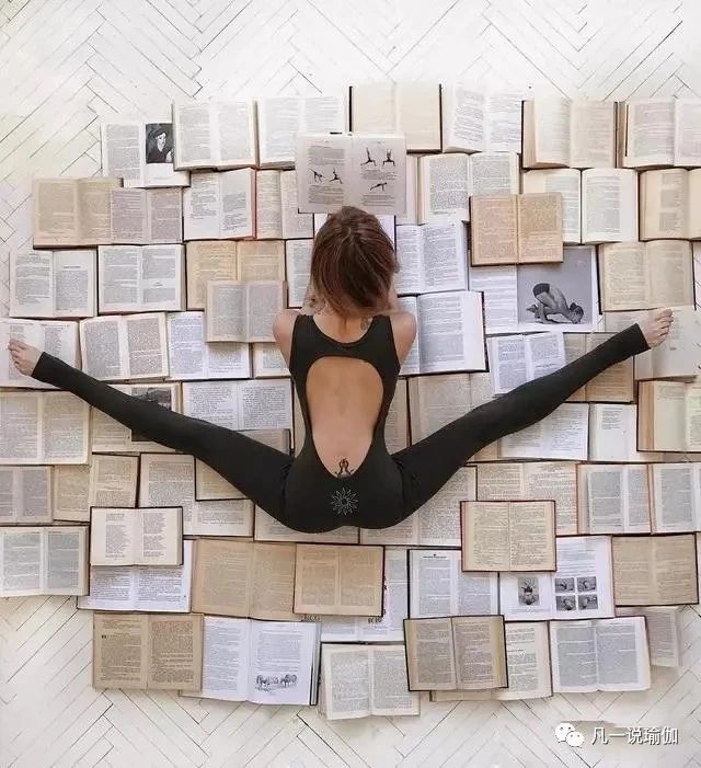 艾扬格瑜伽初学者基本动作,瑜伽艾扬格体式视频教程