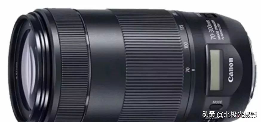 拍摄鸟类照片技巧,拍摄鸟儿照片技巧