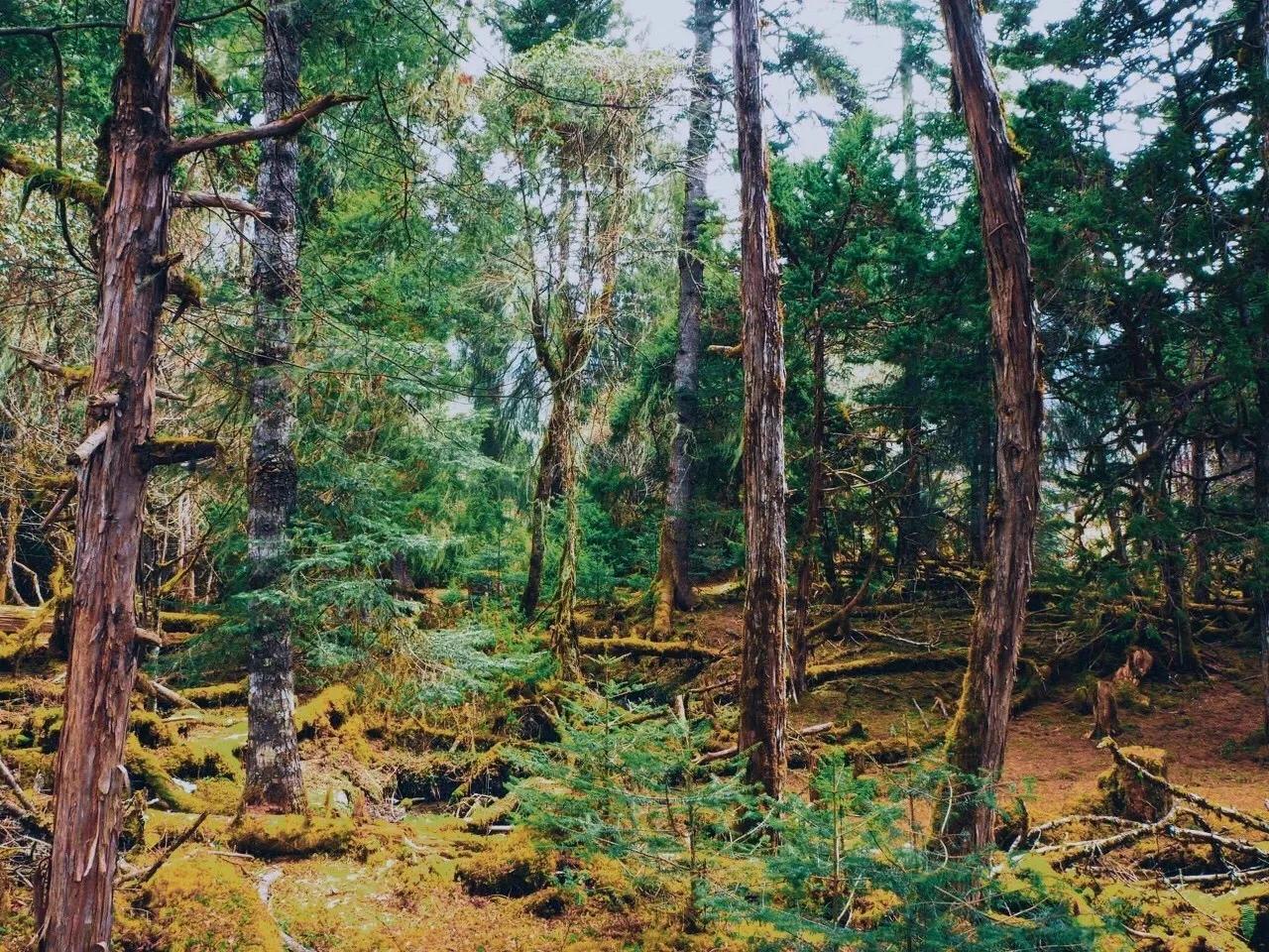 中国唯一不收费的高速公路,中国旅游风景最好的四条高速