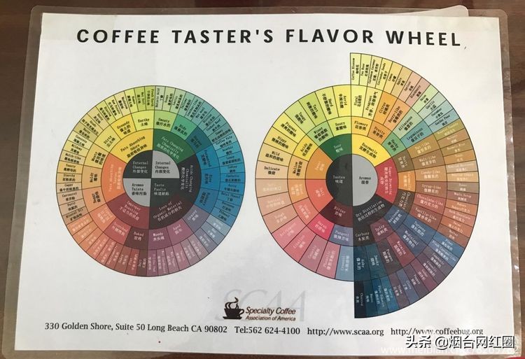 喜欢咖啡，因为那种独特的色香味。色泽凝重，透着忧郁和冷寂