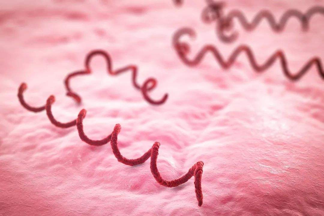 科普梅毒传播途径有哪些你了解吗,感染艾滋病梅毒的几率有多大
