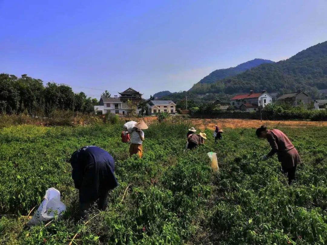 抢抓农时开展农业生产,农民纷纷抢抓春耕生产有利时机
