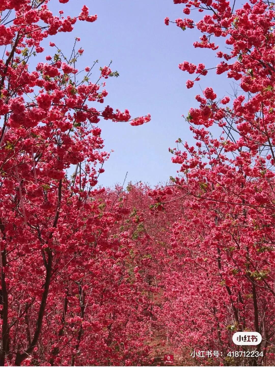 今天宜良景点哪里好玩,宜良好玩的夜景