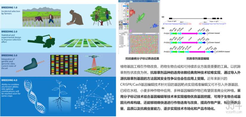 独家｜*疆新**康普森生物完成首轮数千万元融资，助力农业产业升级