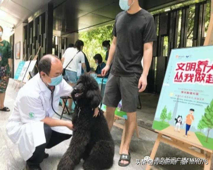 早安青岛直播,早安青岛头条