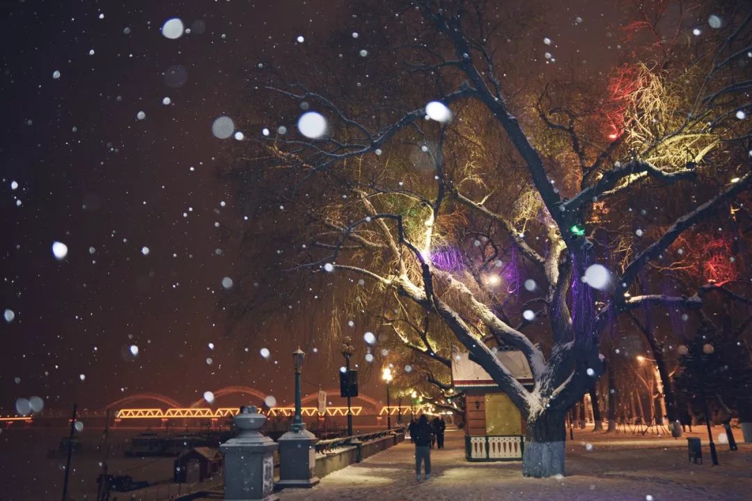 哈尔滨东方小巴黎,哈尔滨为什么被称为东方小巴黎