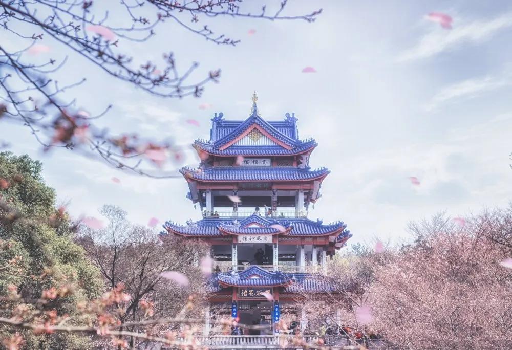 高考作文预测2020模板,高考作文预测2020语文范文