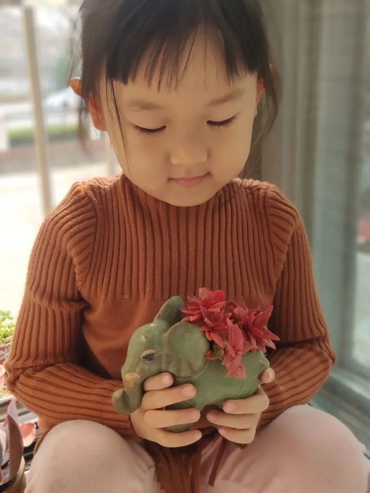 每一棵多肉都承载了一段时光,每一棵多肉都是独一无二