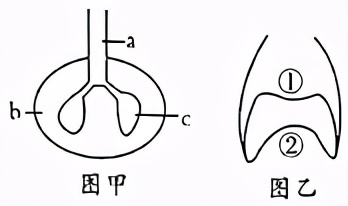 临沂罗庄七下生物期中试卷,临沂七下生物期中试卷