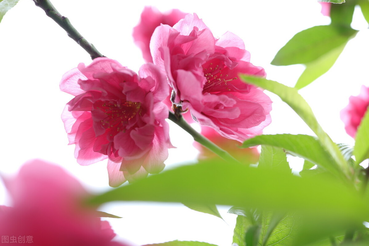 述职报告,转正述职报告