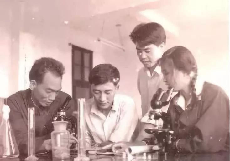 人民大会堂推销土豆，收1500个农民学生，10亿专利无偿送出，64岁的农民院士朱有勇火了！