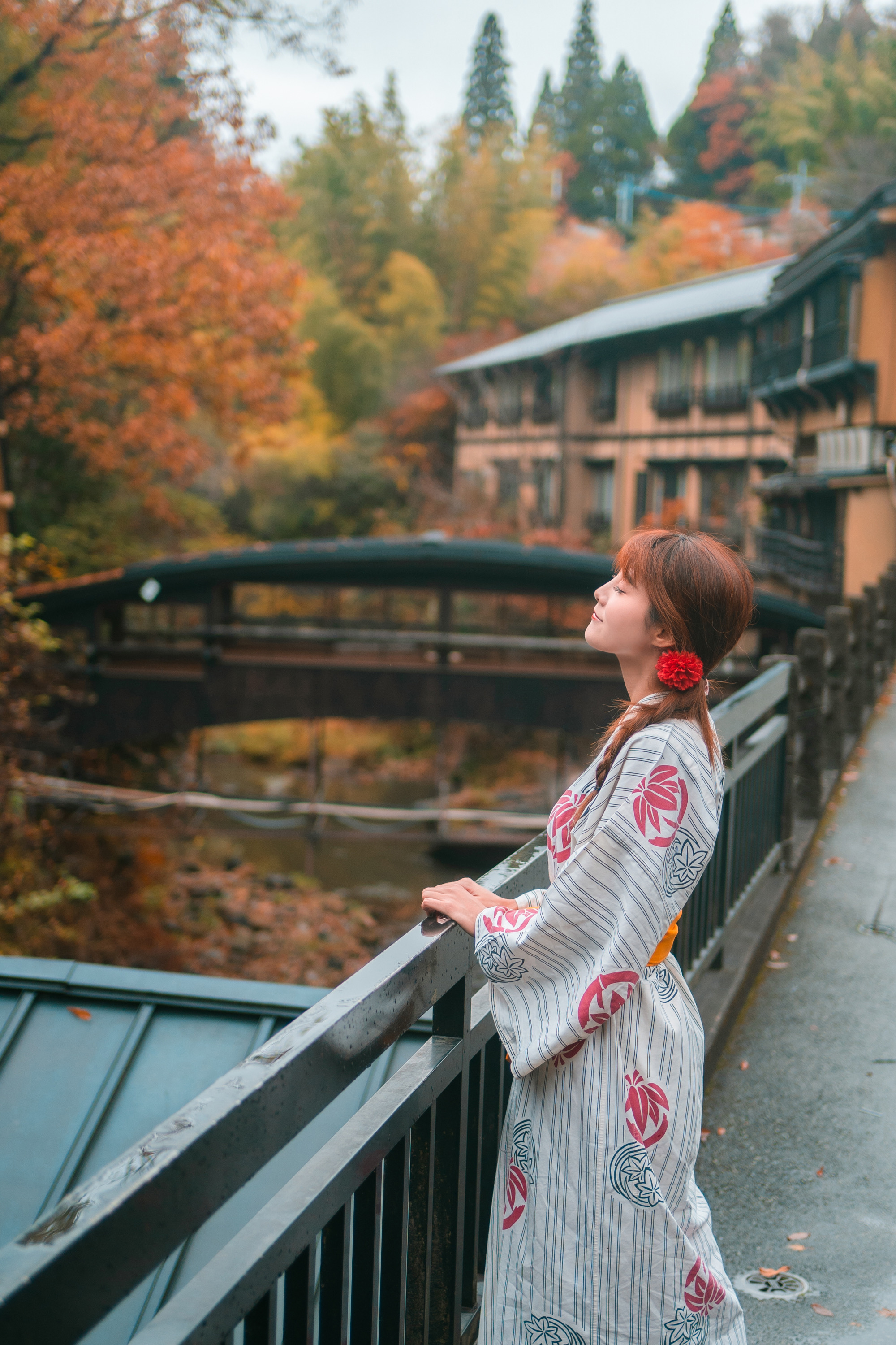 日本九州温泉城市,日本九州岛温泉