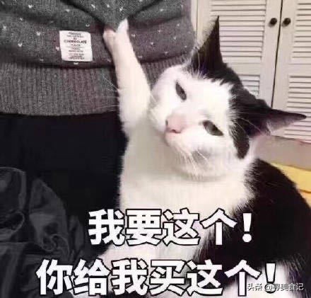 网红饼干原来如此简单,分享饼干