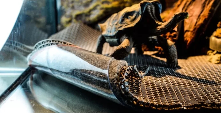 龟专用垫材,龟缸垫材推荐