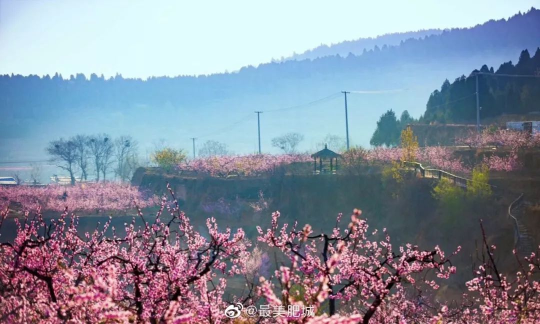 山东百强县2021年排名,山东2021百强县排名榜