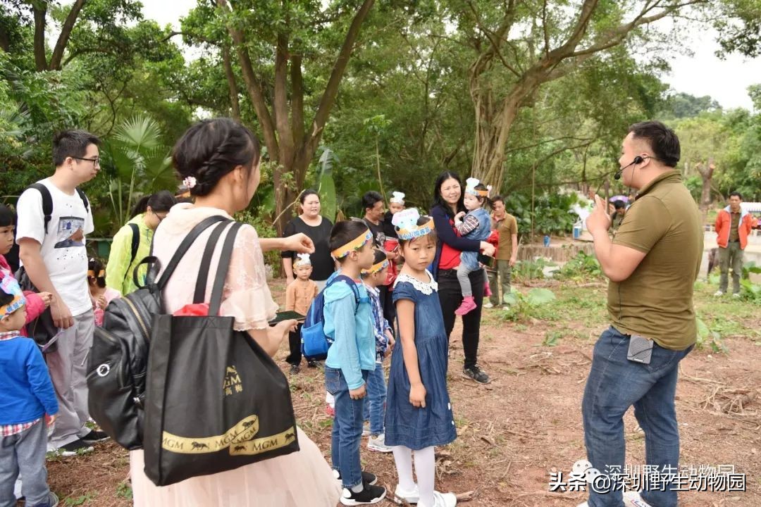 野象谷和大象互动视频,野象谷跟大象互动