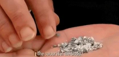 奇怪冷知识！你每擦一次口红，就是在亲吻上万只昆虫的尸体