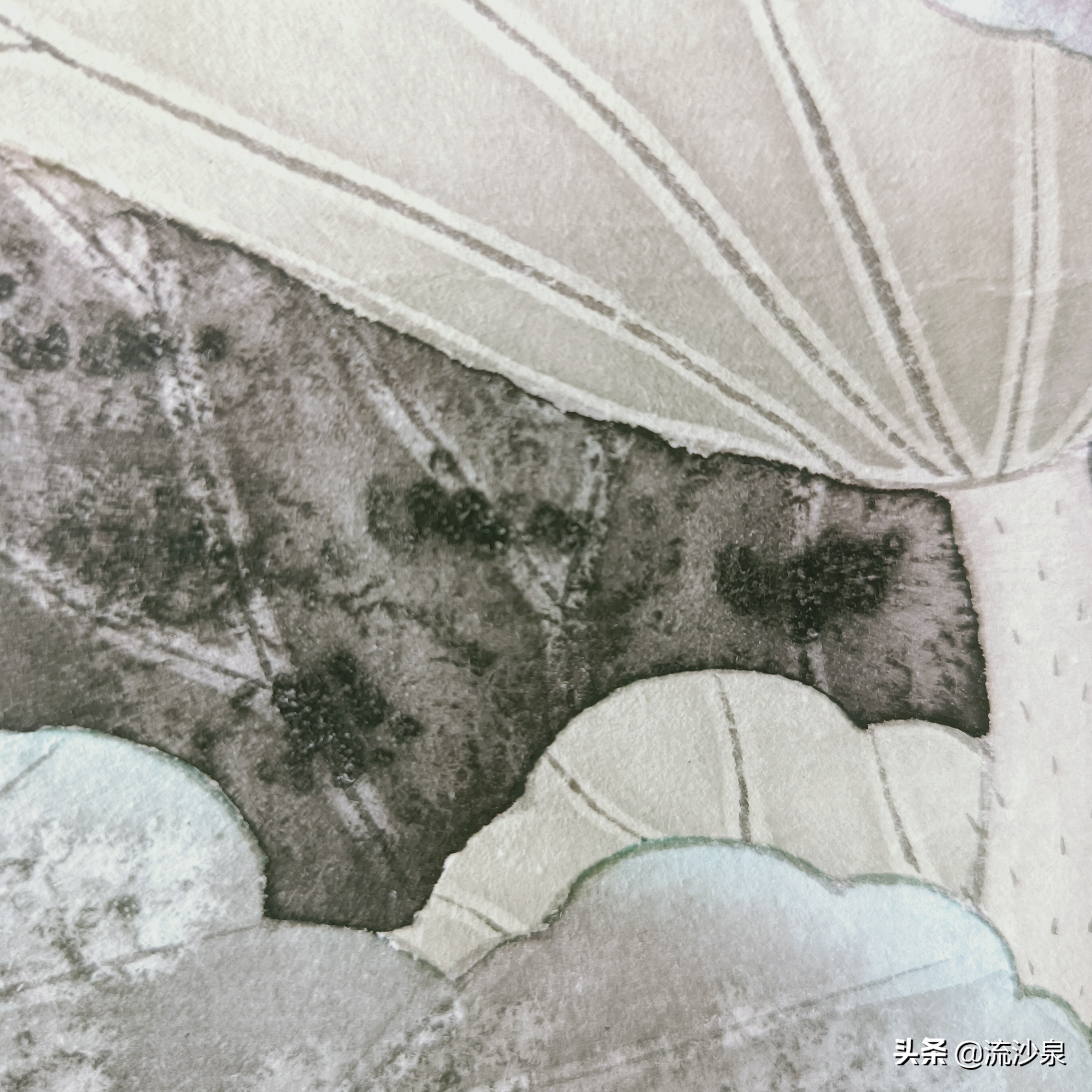 工笔画撒盐法的作品,工笔画上色如何撒盐