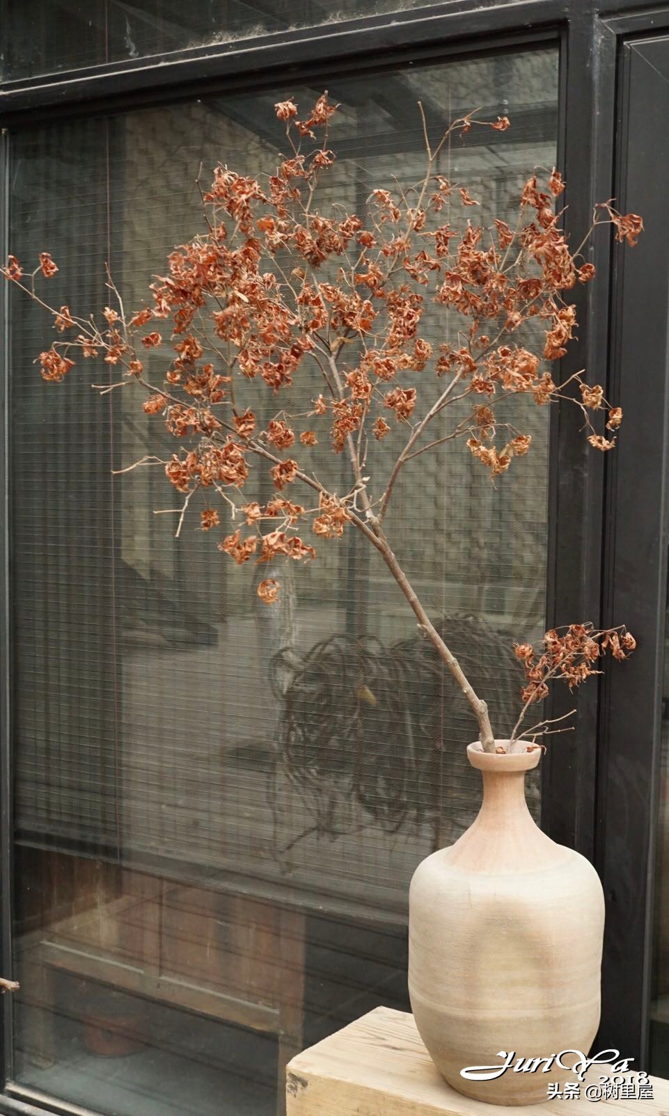 #福西探店#002——苏州本色美术馆