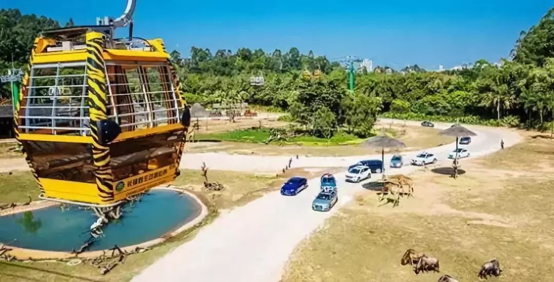 广州长隆附近住宿推荐3大2小,广州长隆2大1小套票旅行团