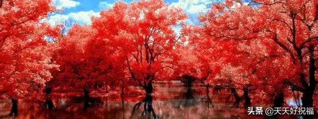 绝！绝！绝！这条微信谁编的？太有才了