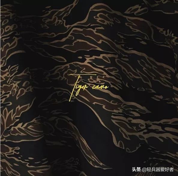 迷彩酷炫风,10年前的武警迷彩虎斑迷彩