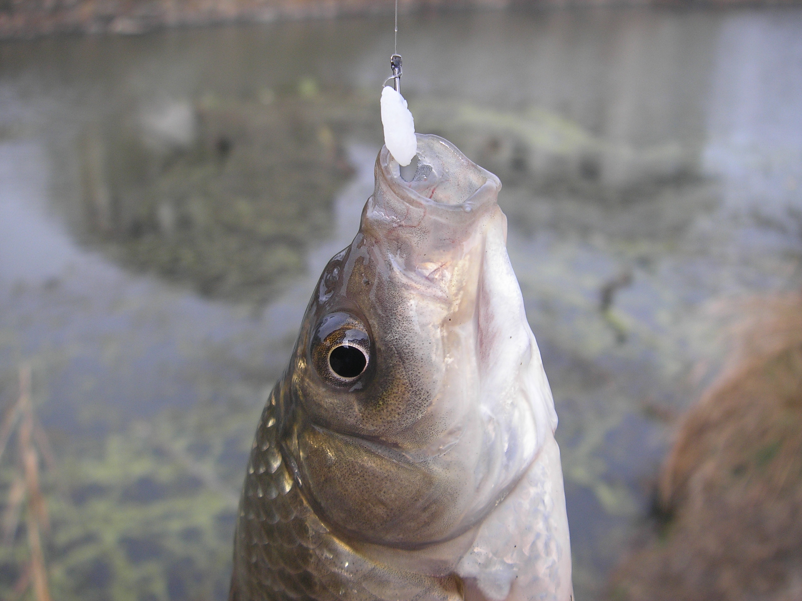 钓鱼最危险的钓点,冬钓野钓最毒钓点
