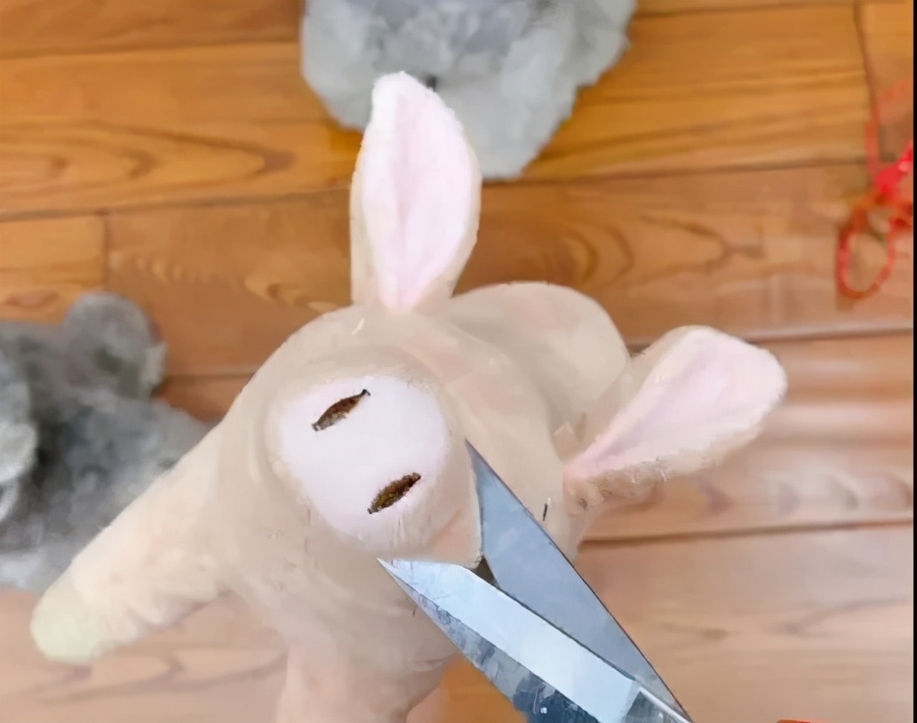 家里数据线被咬,数据线被狗狗咬