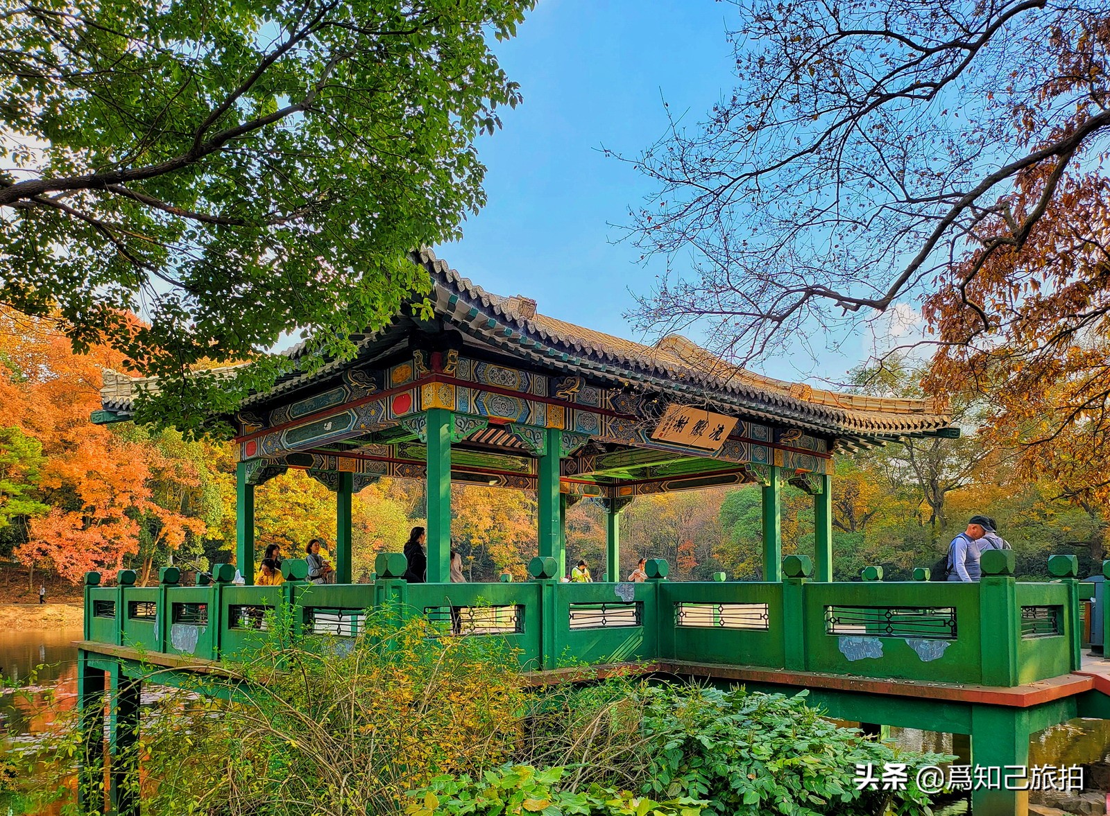 美在金陵文艺大咖秀,美在金陵梁梅