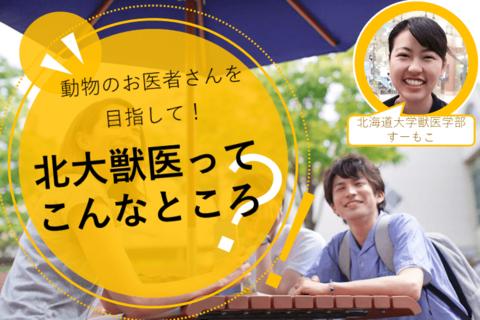 柠檬SGU|北海道大学sgu英文授课兽医学WISE博士课程怎么样