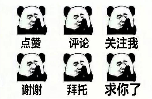 米蛆病前兆,猪病治疗过程中常见的七种错误