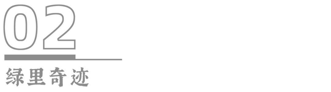 豆瓣8.8一部被严重低估的神作,豆瓣8.8的书