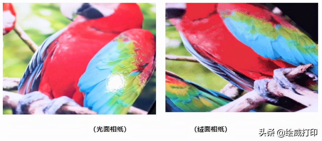 打印机打印手机照片尺寸怎么设置,cp1300打印照片尺寸设置技巧