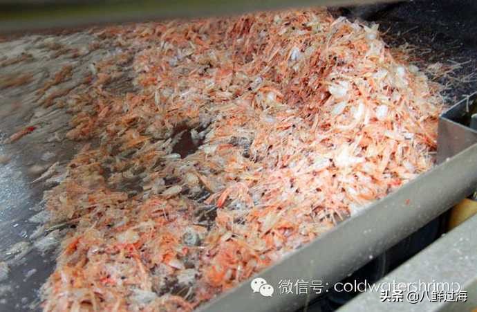 盐田生虾仁工厂,去壳北极甜虾工厂
