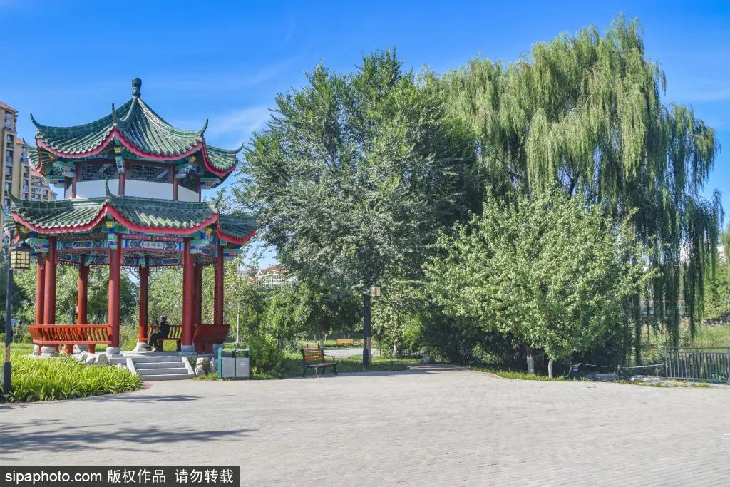 绿皮火车公园打卡景点,各种各样的免费公园