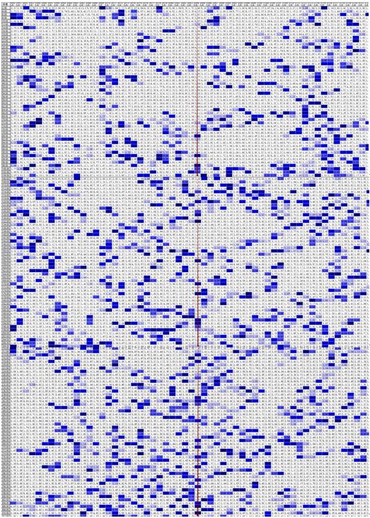 找水定井最简单的方法,打井测水的正确方法